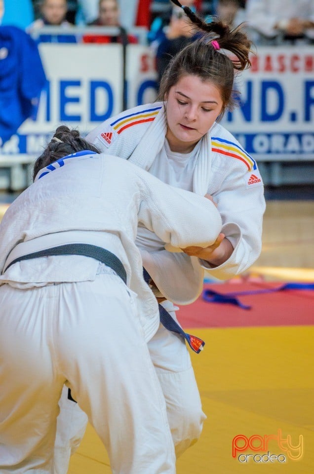 Demonstratia micilor Judoka, Arena Antonio Alexe