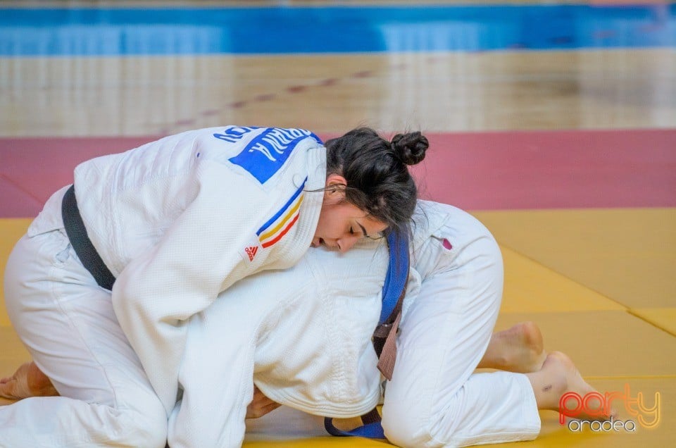 Demonstratia micilor Judoka, Arena Antonio Alexe