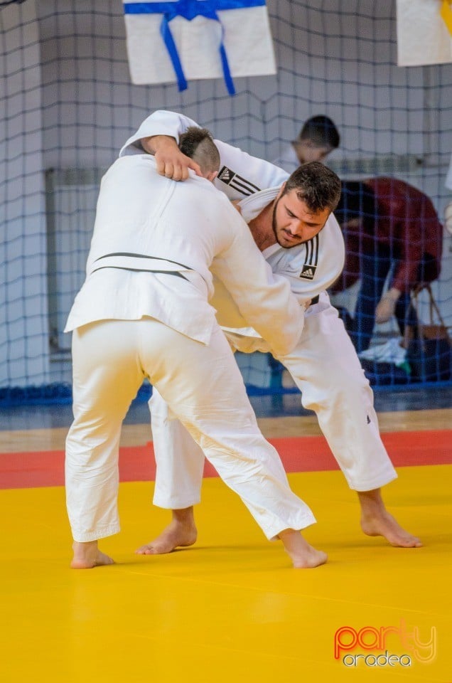 Demonstratia micilor Judoka, Arena Antonio Alexe