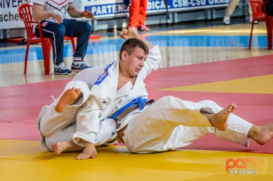 Demonstratia micilor Judoka, Arena Antonio Alexe