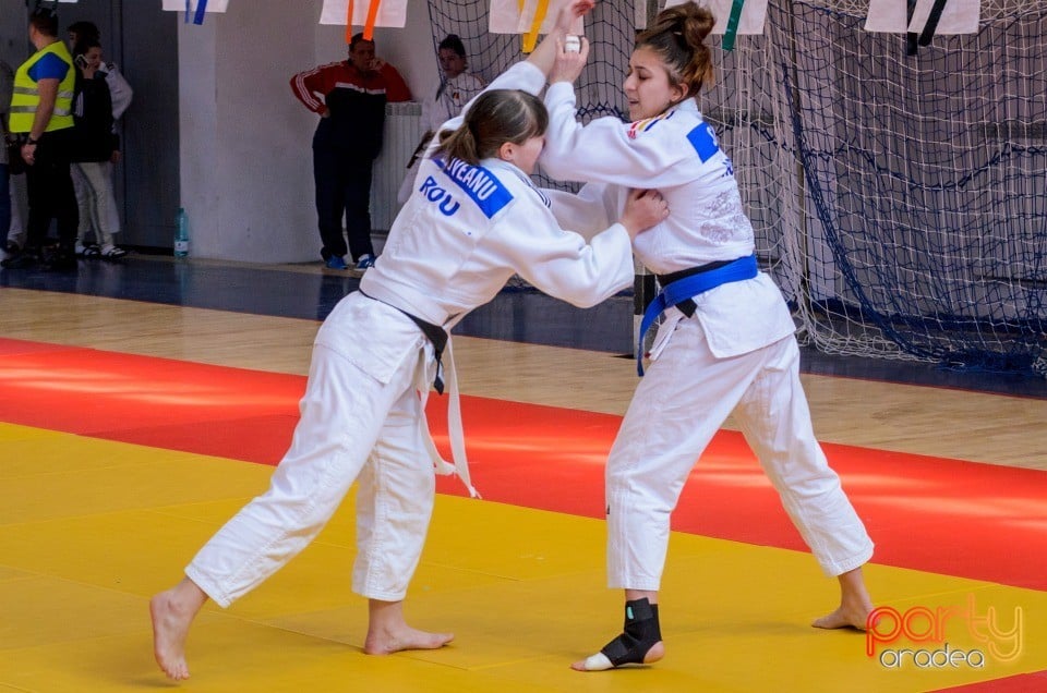 Demonstratia micilor Judoka, Arena Antonio Alexe