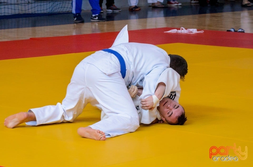 Demonstratia micilor Judoka, Arena Antonio Alexe