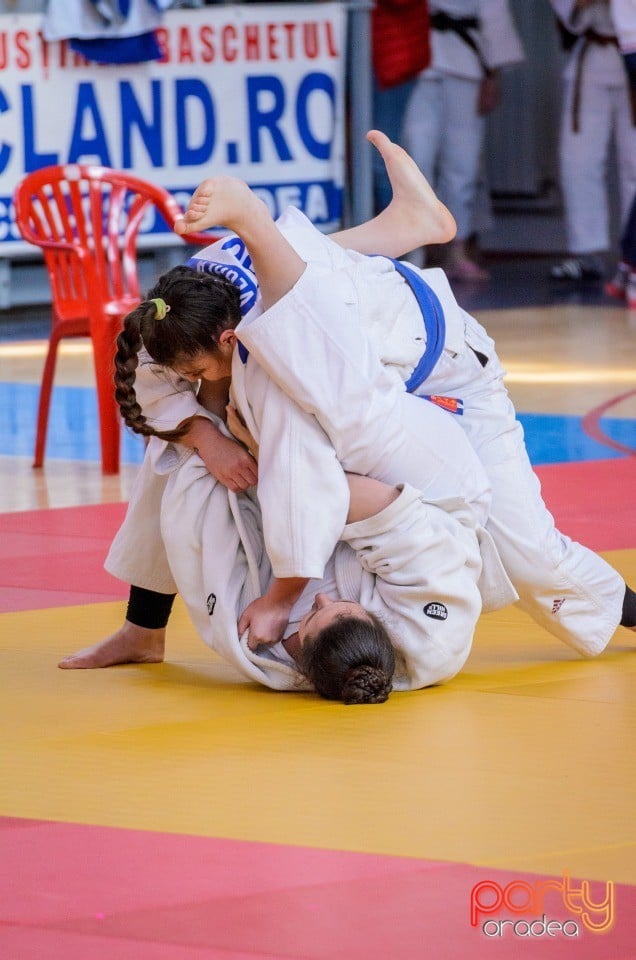 Demonstratia micilor Judoka, Arena Antonio Alexe