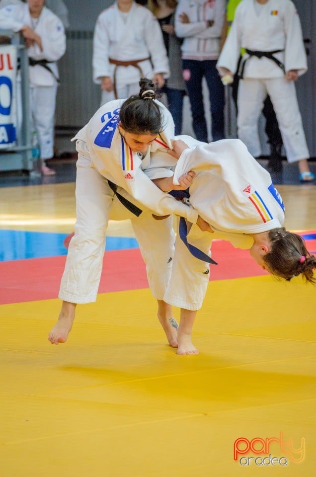 Demonstratia micilor Judoka, Arena Antonio Alexe