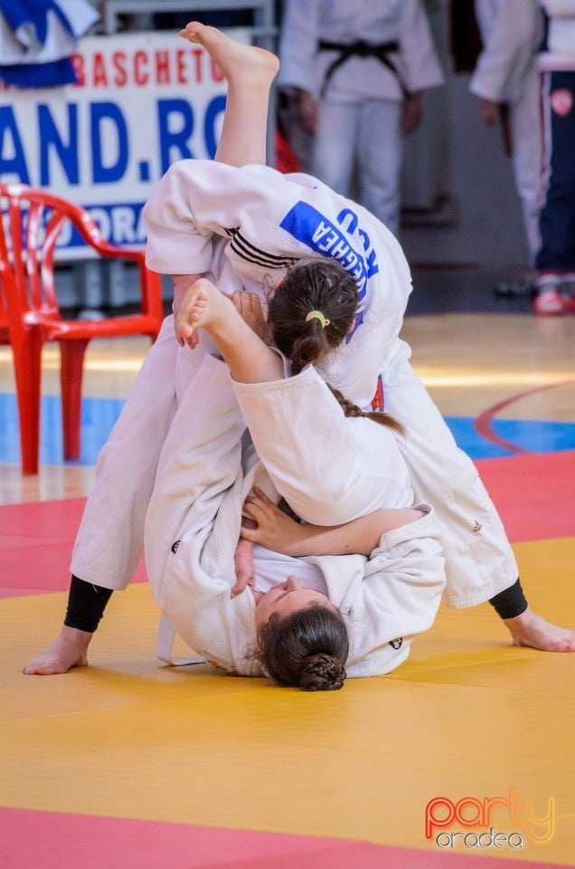 Demonstratia micilor Judoka, Arena Antonio Alexe