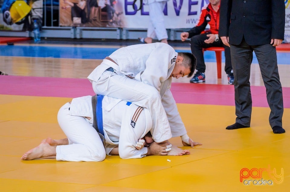 Demonstratia micilor Judoka, Arena Antonio Alexe