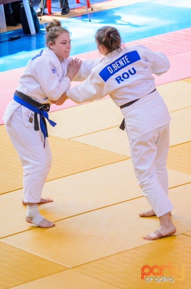 Demonstratia micilor Judoka, Arena Antonio Alexe