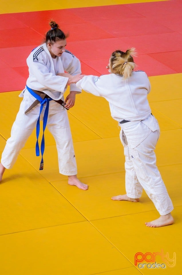 Demonstratia micilor Judoka, Arena Antonio Alexe