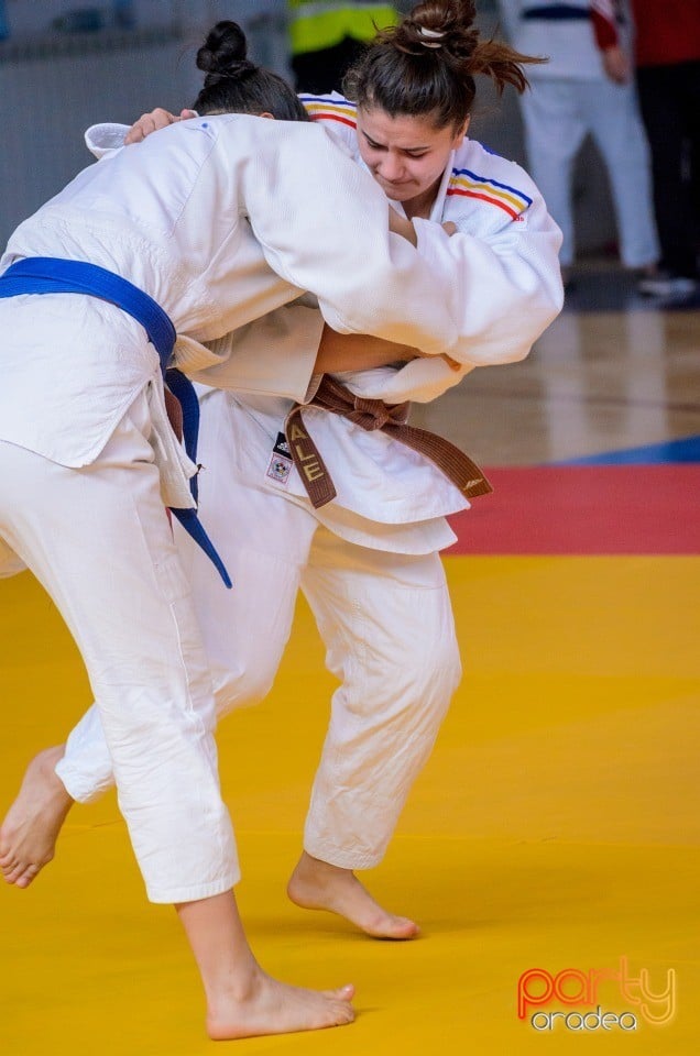 Demonstratia micilor Judoka, Arena Antonio Alexe