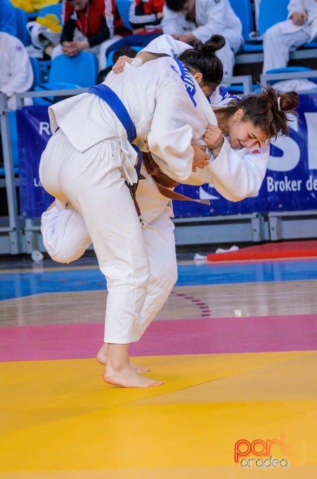 Demonstratia micilor Judoka, Arena Antonio Alexe