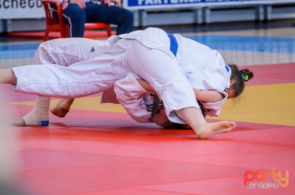 Demonstratia micilor Judoka, Arena Antonio Alexe