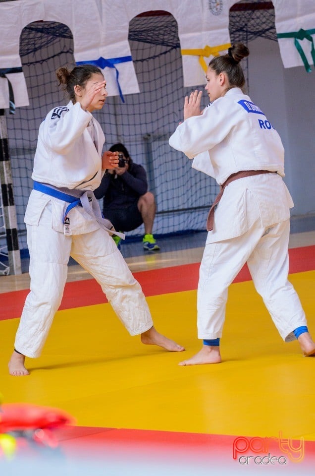 Demonstratia micilor Judoka, Arena Antonio Alexe