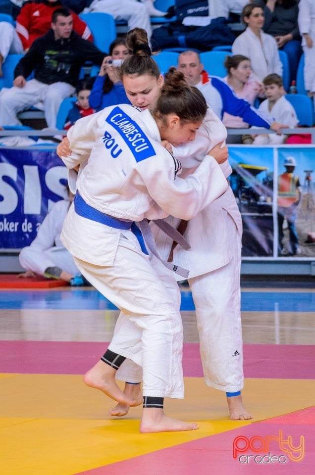 Demonstratia micilor Judoka, Arena Antonio Alexe