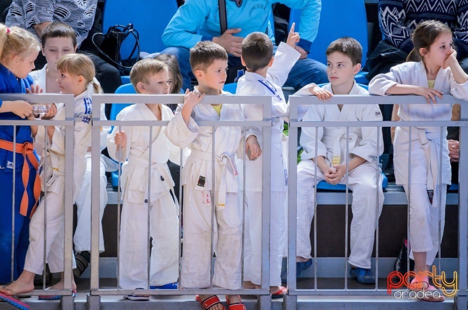 Demonstratia micilor Judoka, Arena Antonio Alexe