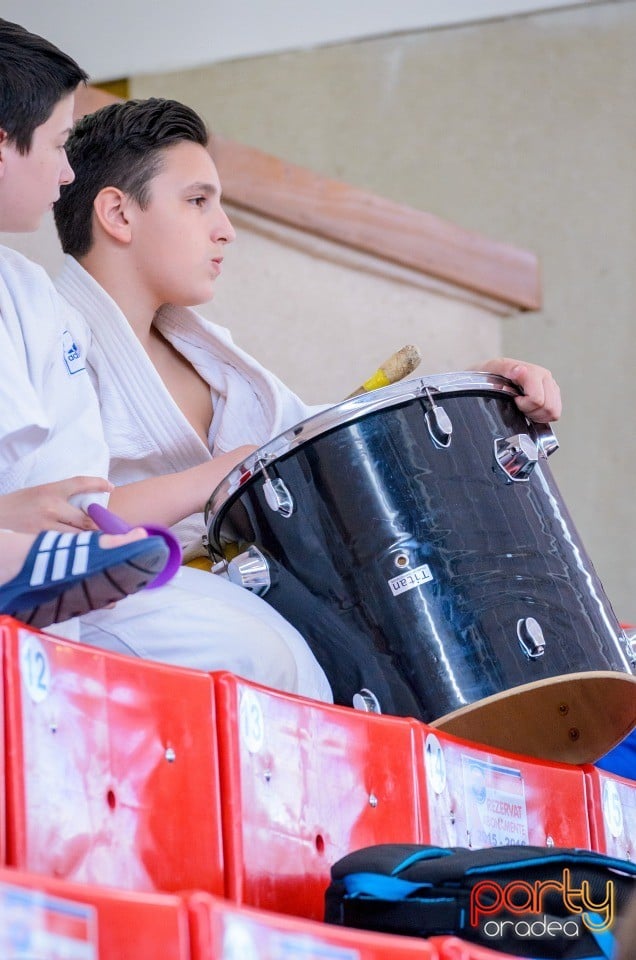 Demonstratia micilor Judoka, Arena Antonio Alexe