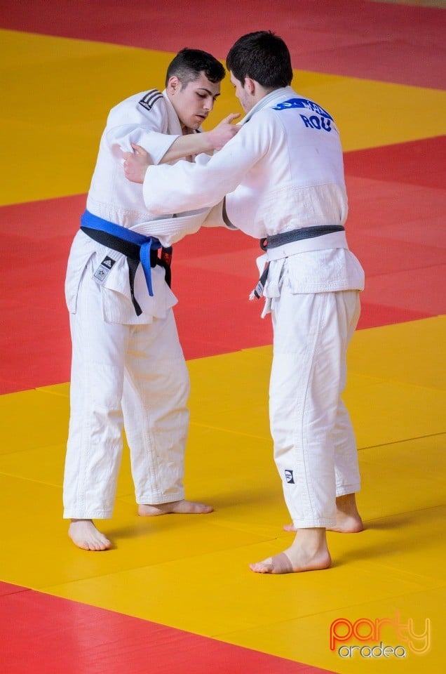 Demonstratia micilor Judoka, Arena Antonio Alexe