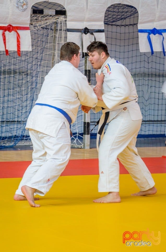 Demonstratia micilor Judoka, Arena Antonio Alexe