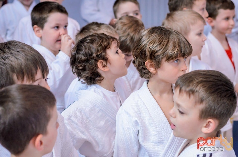 Demonstratia micilor Judoka, Arena Antonio Alexe