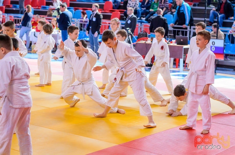 Demonstratia micilor Judoka, Arena Antonio Alexe