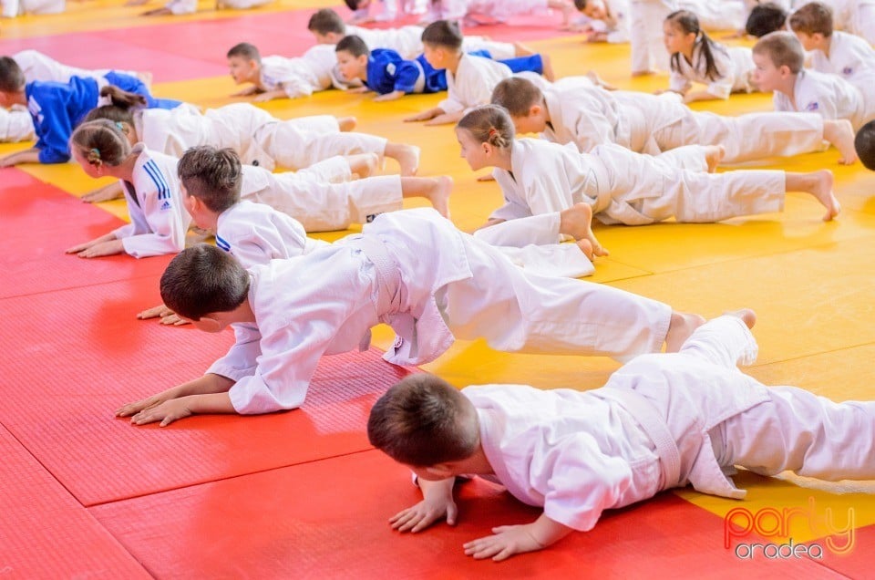 Demonstratia micilor Judoka, Arena Antonio Alexe