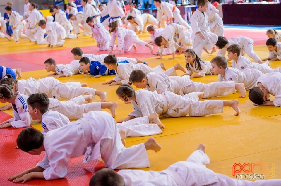 Demonstratia micilor Judoka, Arena Antonio Alexe