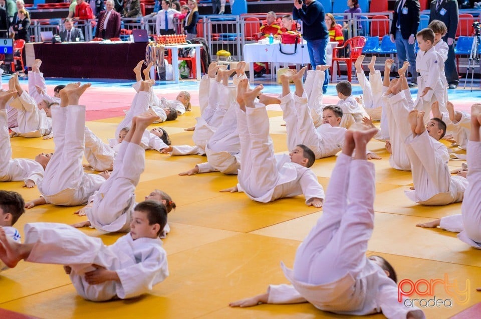 Demonstratia micilor Judoka, Arena Antonio Alexe