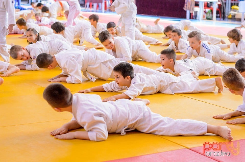 Demonstratia micilor Judoka, Arena Antonio Alexe