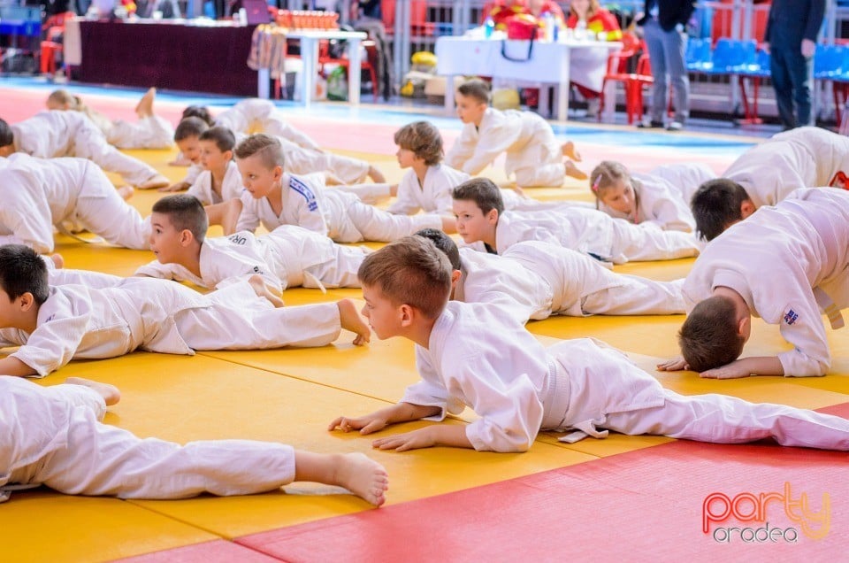 Demonstratia micilor Judoka, Arena Antonio Alexe