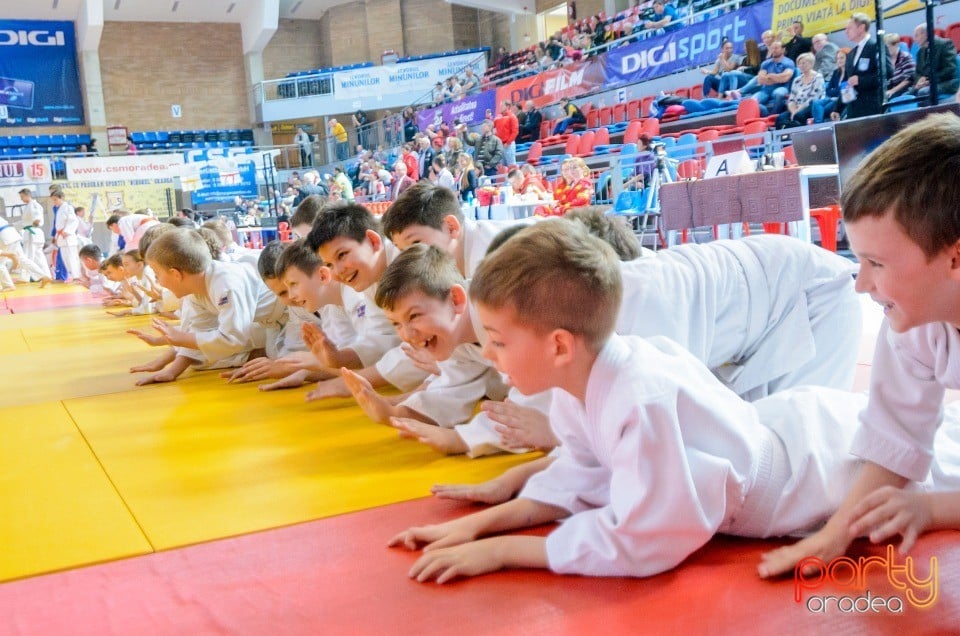 Demonstratia micilor Judoka, Arena Antonio Alexe