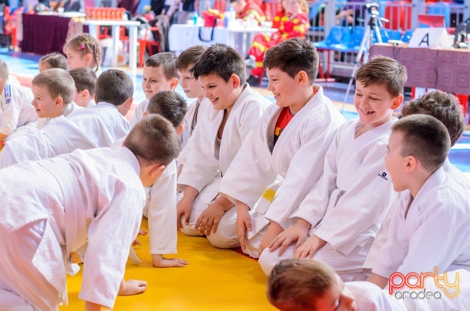 Demonstratia micilor Judoka, Arena Antonio Alexe