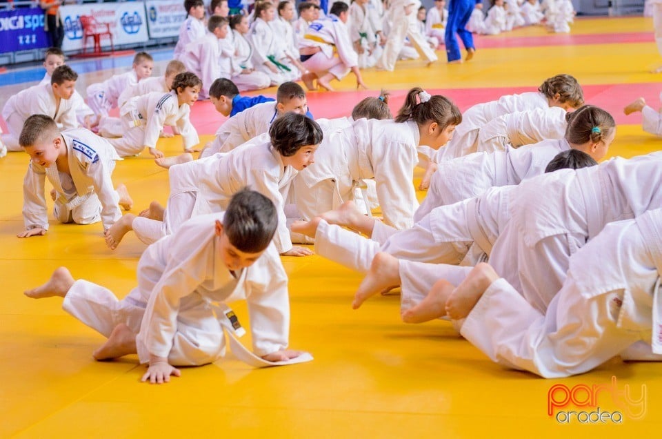 Demonstratia micilor Judoka, Arena Antonio Alexe