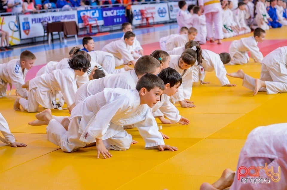 Demonstratia micilor Judoka, Arena Antonio Alexe