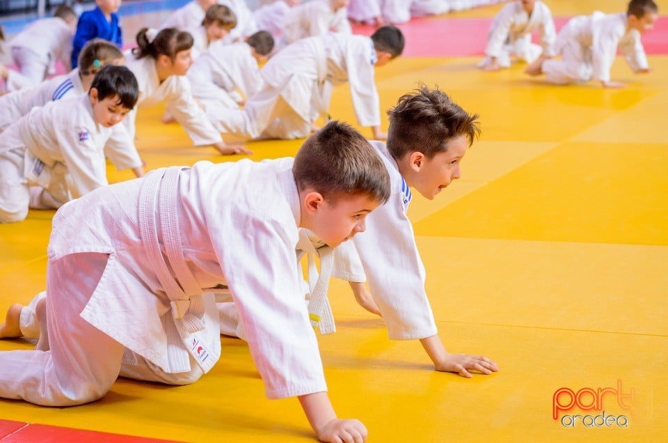 Demonstratia micilor Judoka, Arena Antonio Alexe