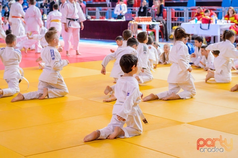 Demonstratia micilor Judoka, Arena Antonio Alexe