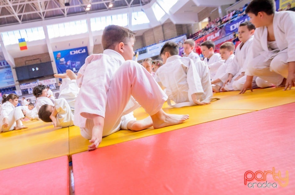 Demonstratia micilor Judoka, Arena Antonio Alexe