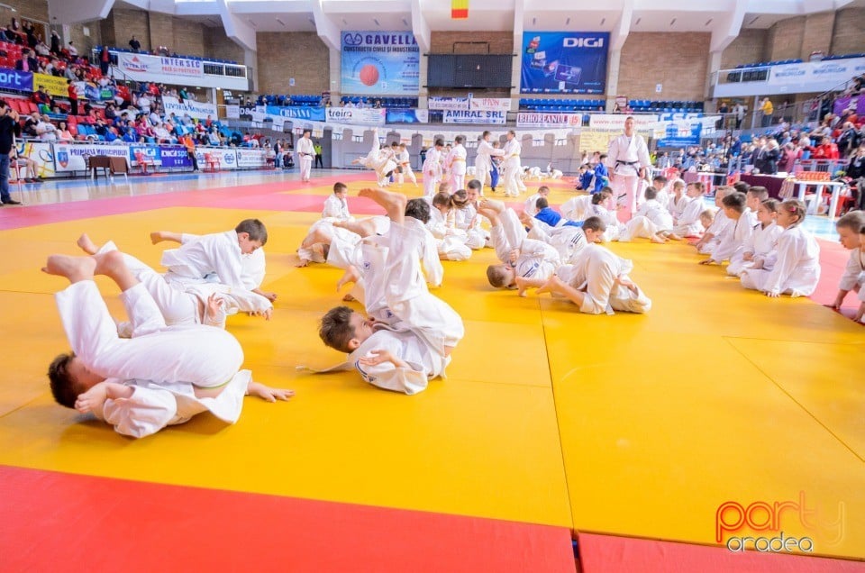 Demonstratia micilor Judoka, Arena Antonio Alexe