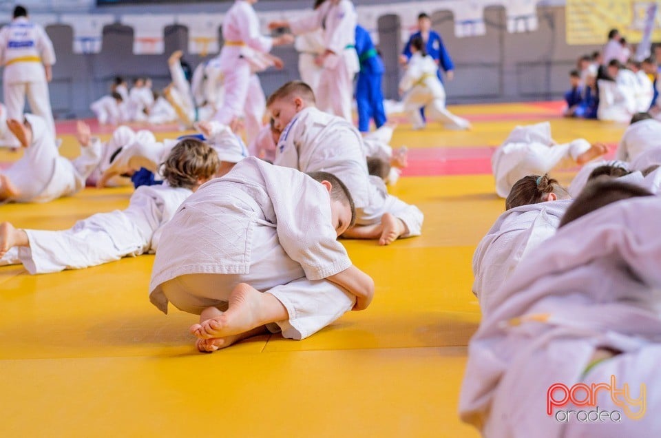 Demonstratia micilor Judoka, Arena Antonio Alexe