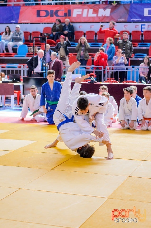 Demonstratia micilor Judoka, Arena Antonio Alexe