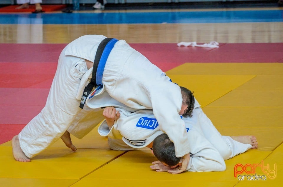 Demonstratia micilor Judoka, Arena Antonio Alexe