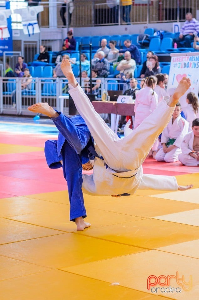 Demonstratia micilor Judoka, Arena Antonio Alexe