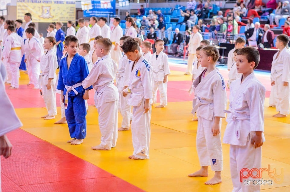 Demonstratia micilor Judoka, Arena Antonio Alexe