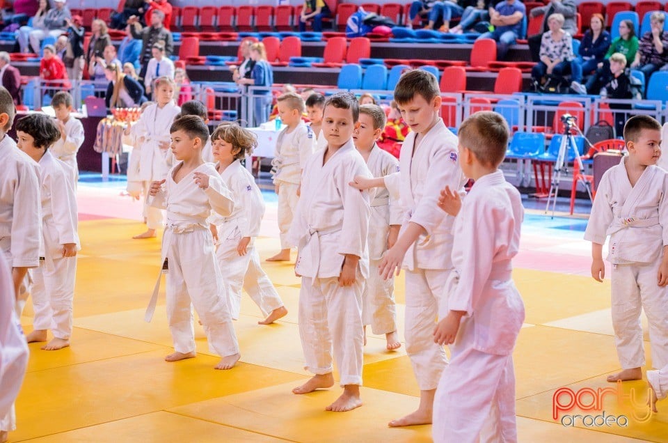 Demonstratia micilor Judoka, Arena Antonio Alexe