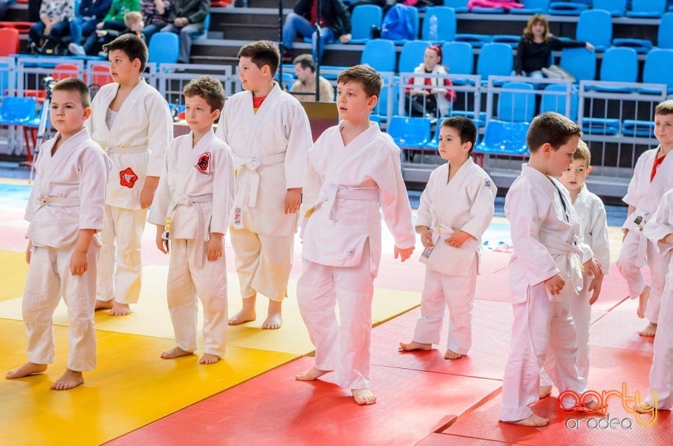 Demonstratia micilor Judoka, Arena Antonio Alexe