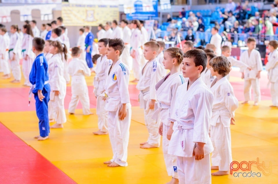 Demonstratia micilor Judoka, Arena Antonio Alexe