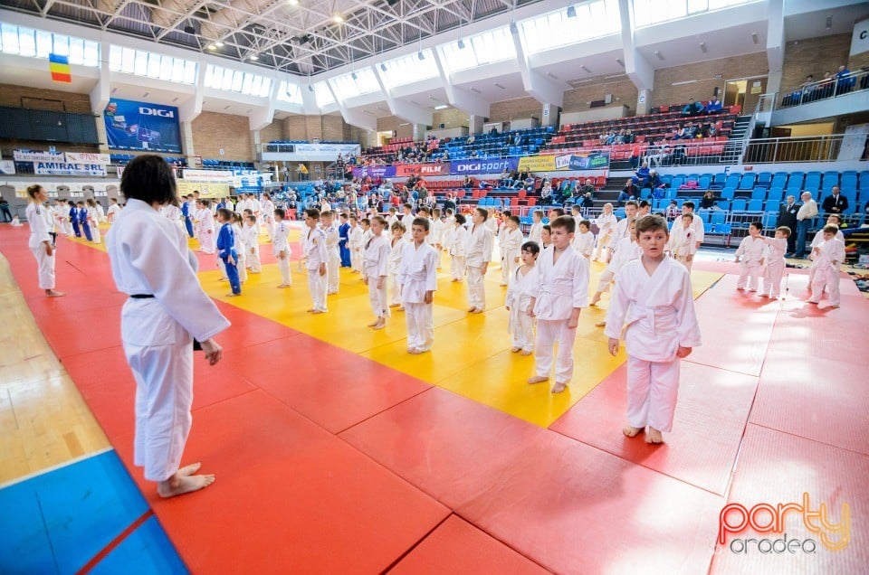 Demonstratia micilor Judoka, Arena Antonio Alexe