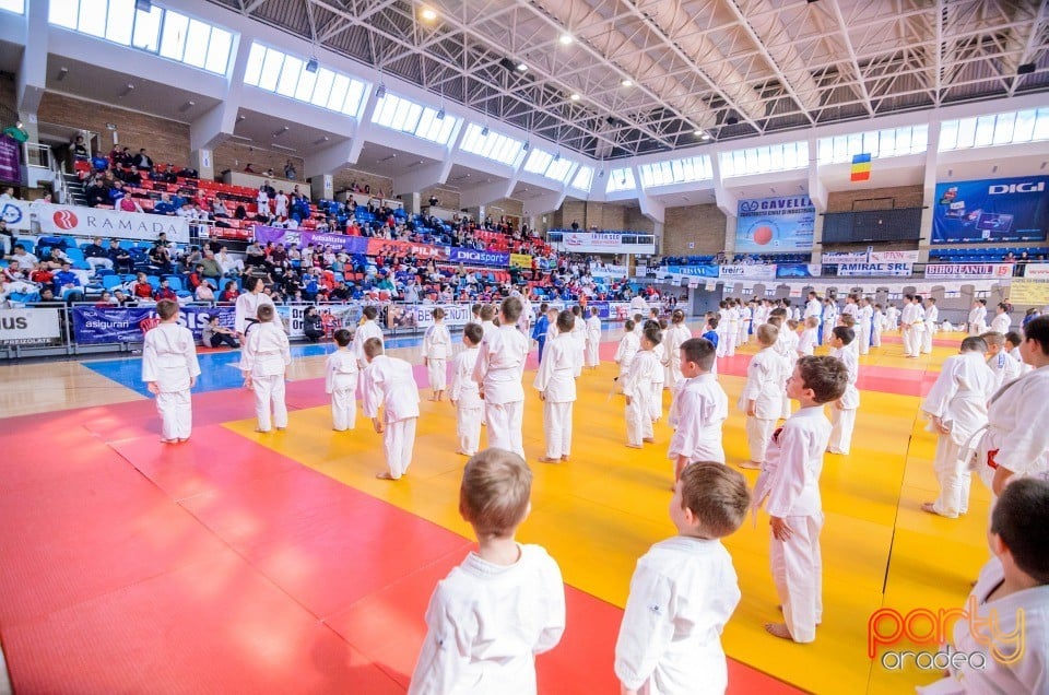 Demonstratia micilor Judoka, Arena Antonio Alexe