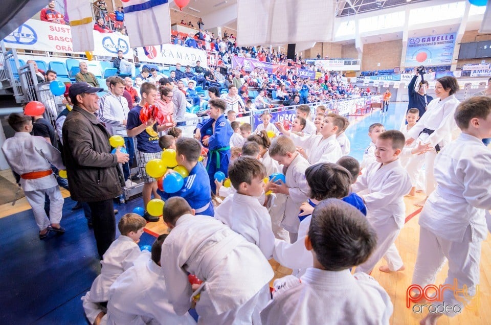 Demonstratia micilor Judoka, Arena Antonio Alexe