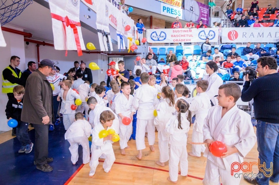 Demonstratia micilor Judoka, Arena Antonio Alexe