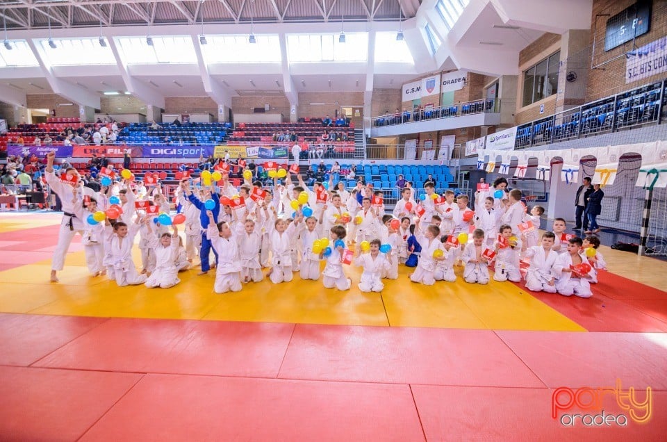 Demonstratia micilor Judoka, Arena Antonio Alexe