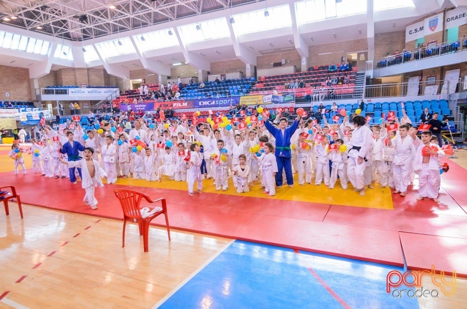 Demonstratia micilor Judoka, Arena Antonio Alexe